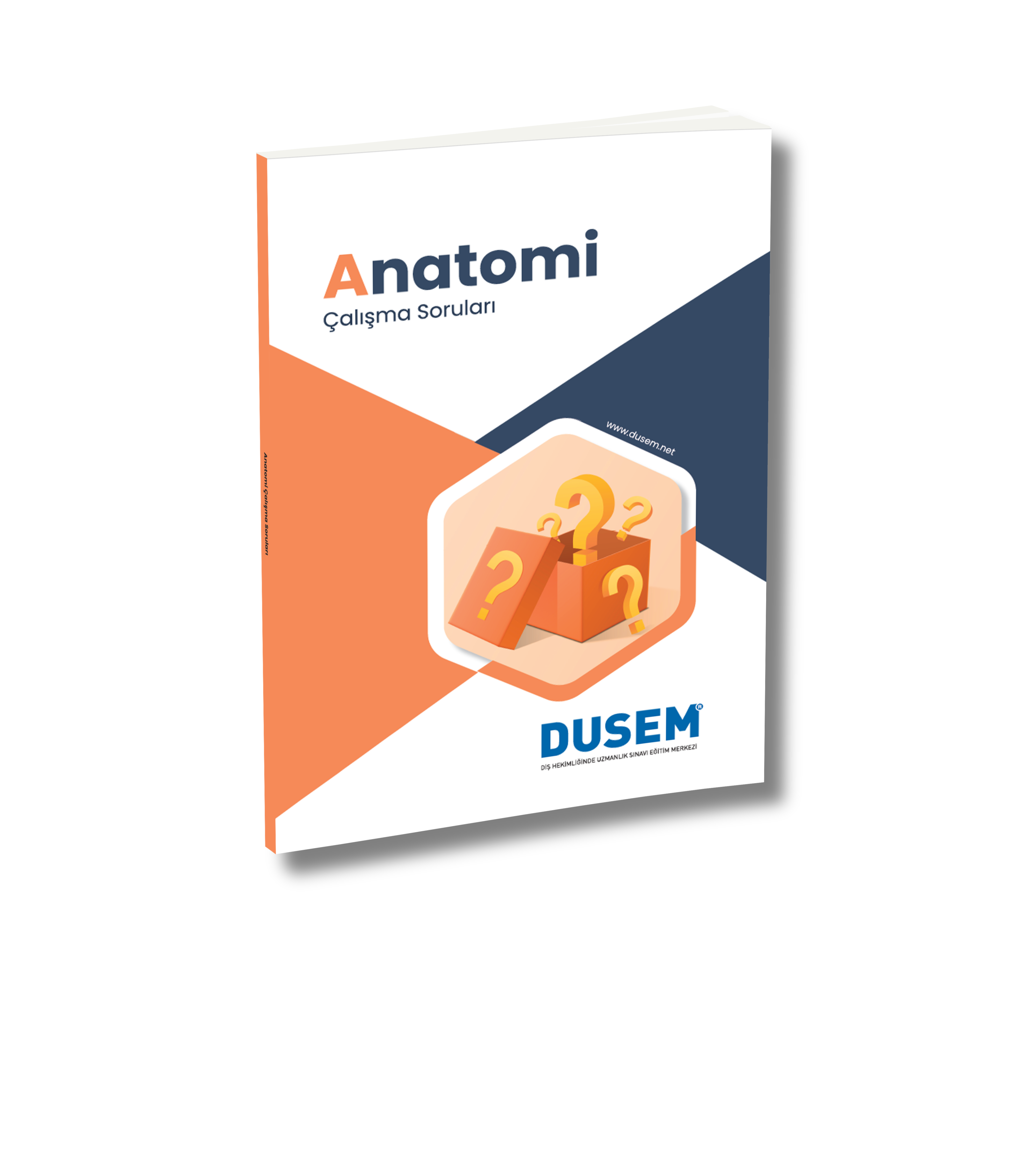 Dusem Soru Anatomi